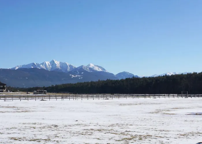 Mitzi By Interhome Dom wakacyjny *